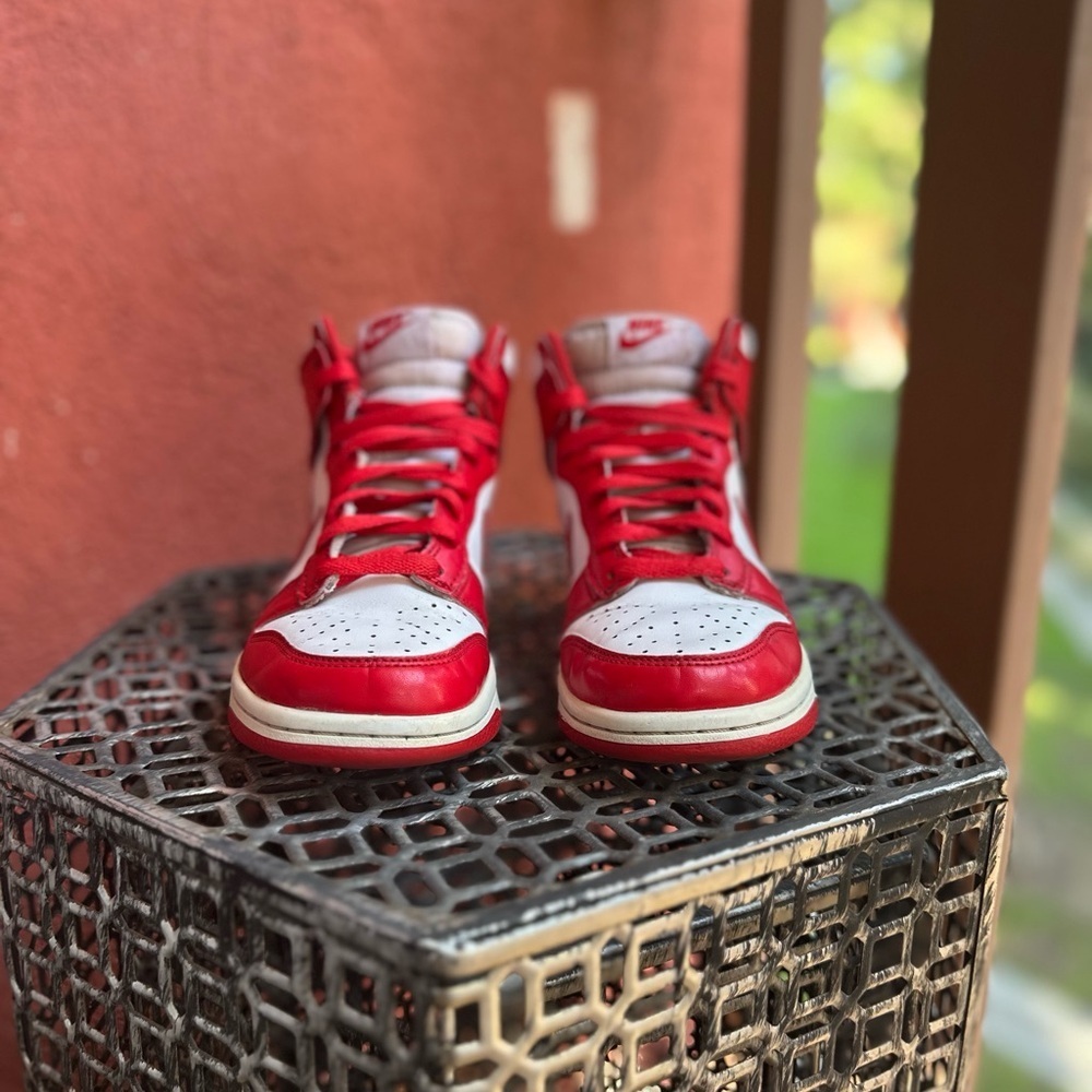 Nike Dunk High